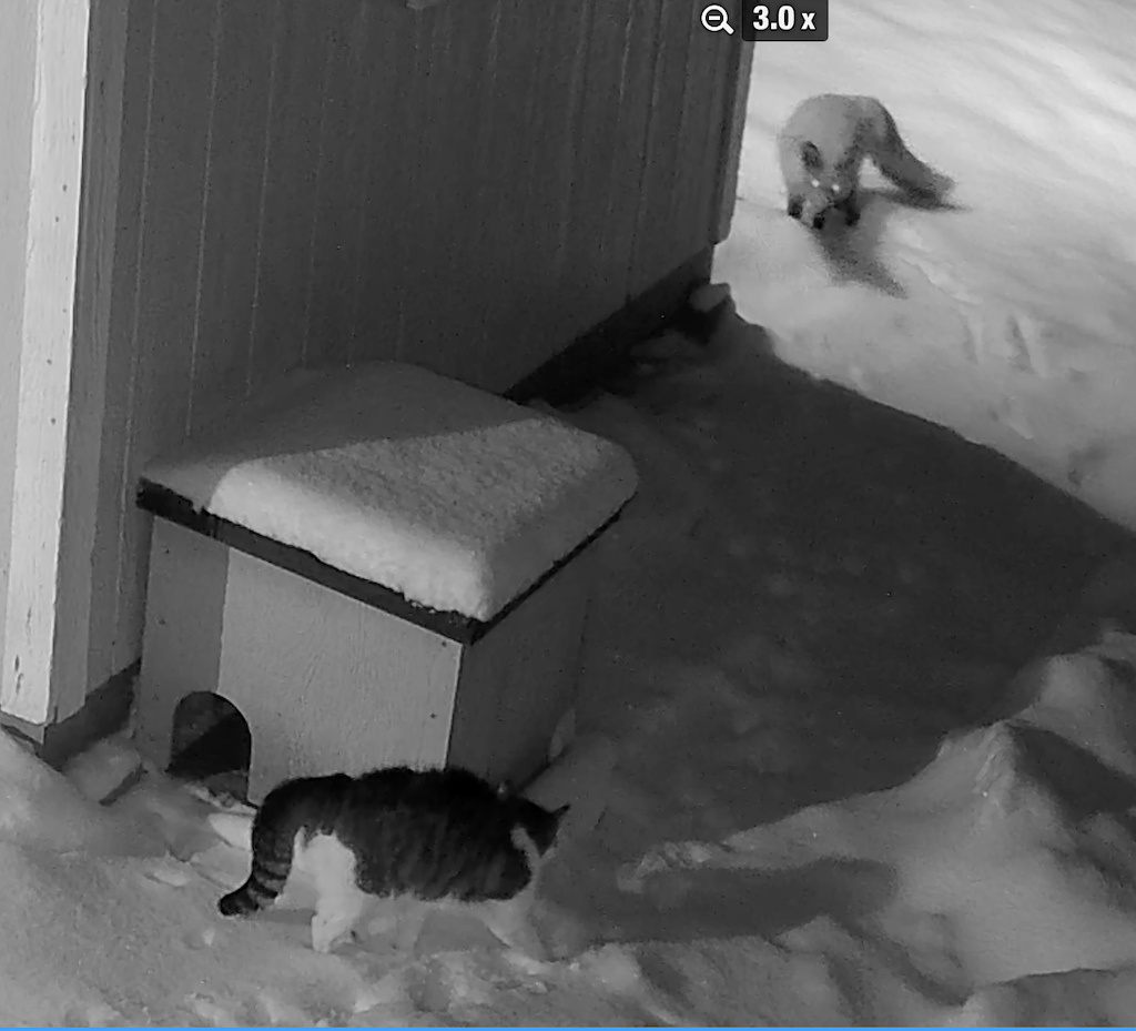 Name:  Screenshot 2025-01-10 at 9.23.32â€¯PM.png
Views: 2501
Size:  629.9 KB