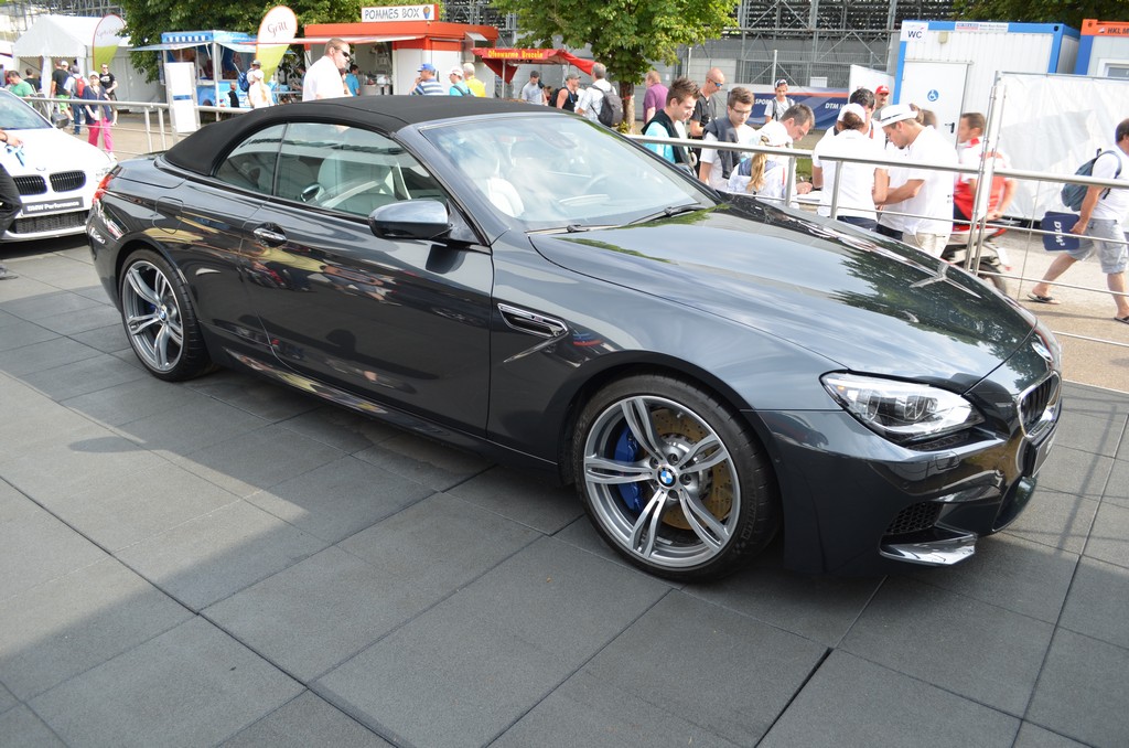 Name:  DSC_0255.jpg
Views: 12998
Size:  268.0 KB