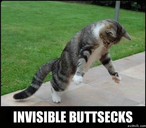 Name:  Invisible_buttsecks.jpg
Views: 23459
Size:  35.0 KB