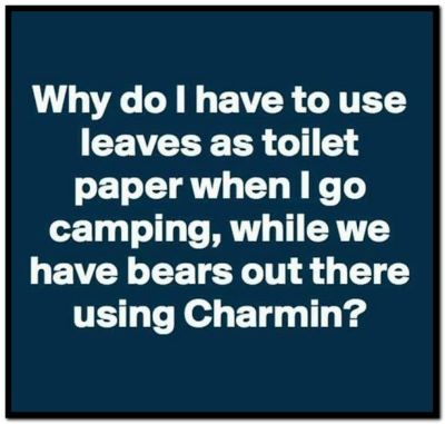 Name:  Charmin (1).jpg
Views: 1298
Size:  74.6 KB