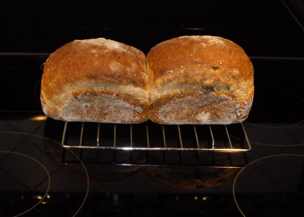 Name:  Bread..jpg
Views: 24
Size:  94.9 KB