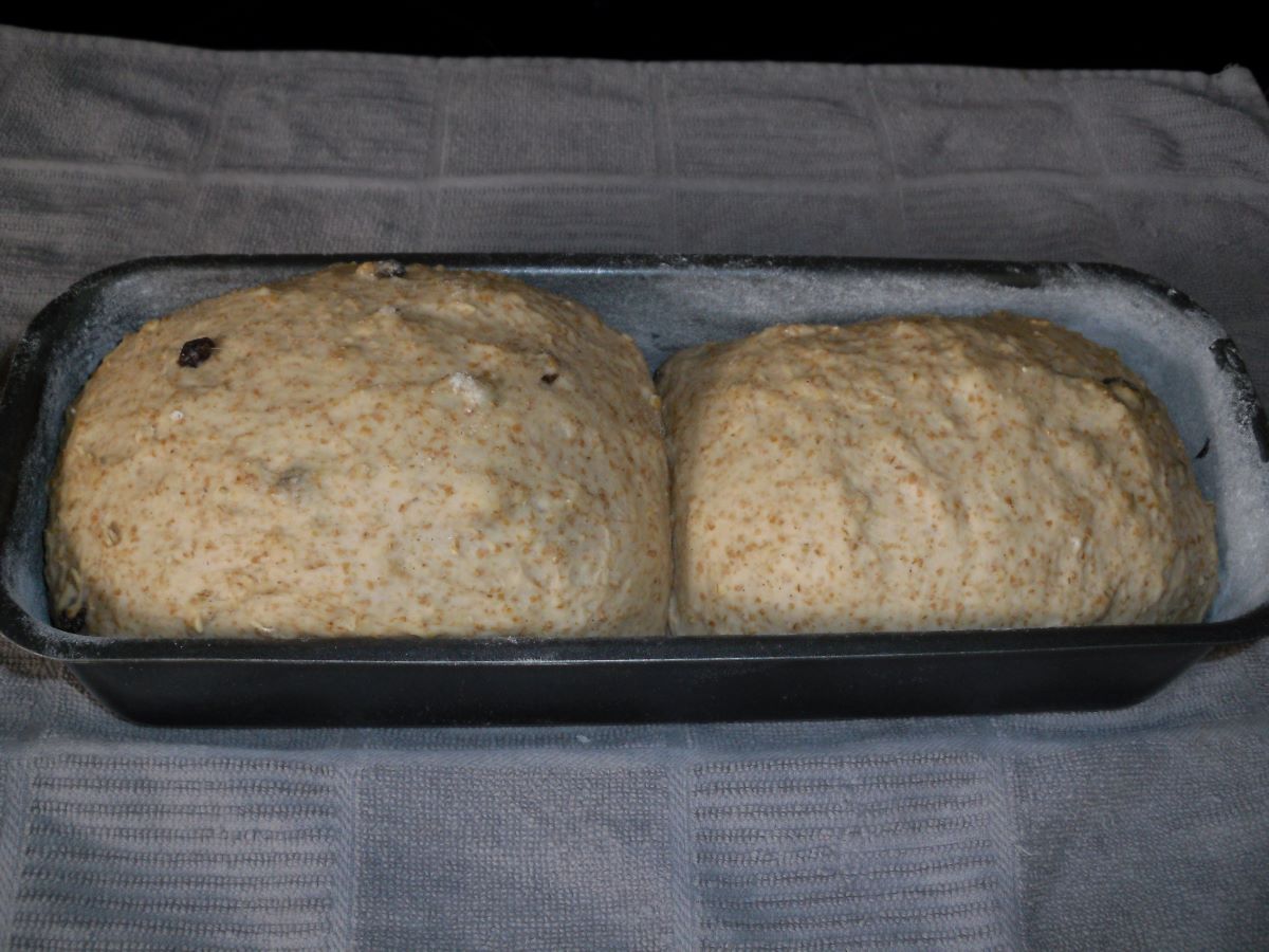 Name:  Bread.JPG
Views: 127
Size:  145.0 KB