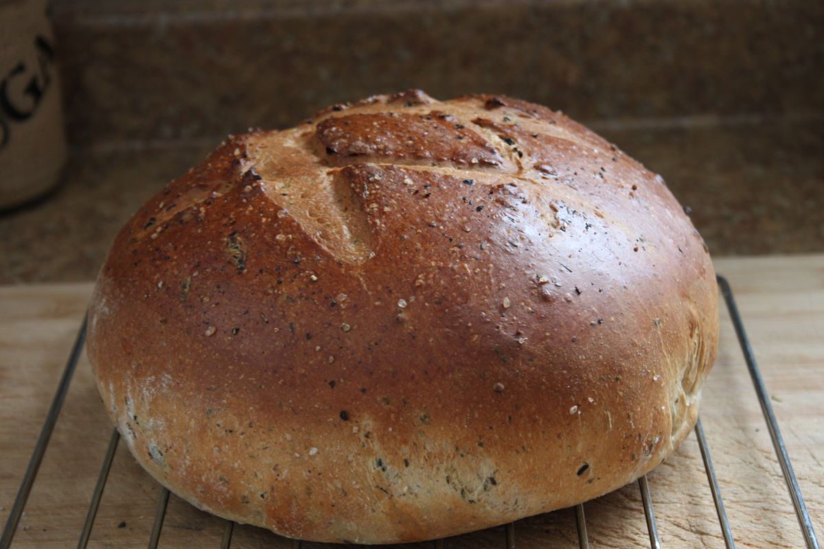 Name:  Olive bread 2.JPG
Views: 3141
Size:  118.8 KB