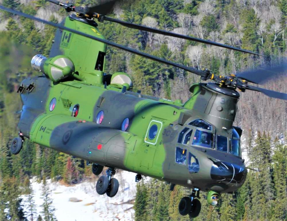 Name:  Chinook..jpg
Views: 753
Size:  226.4 KB