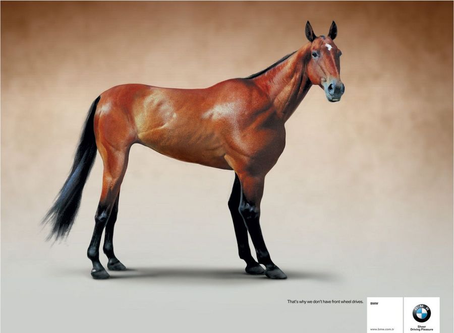 Name:  horse.jpg
Views: 5072
Size:  47.7 KB