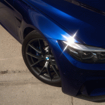 thesanmarinoblues's Avatar